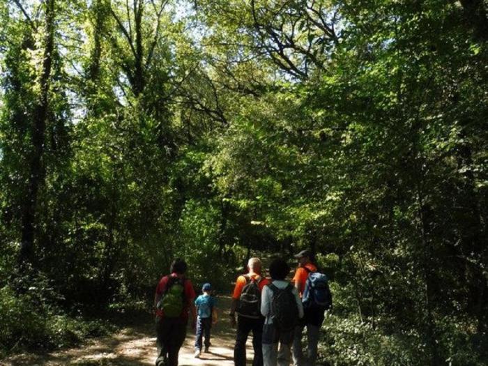 Porqueres Camping Bungalow El Llac De Banyoles מראה חיצוני תמונה
